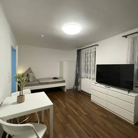 Gemuetliches Eg-apartment In Fuer 6 アパート Weissenthurm