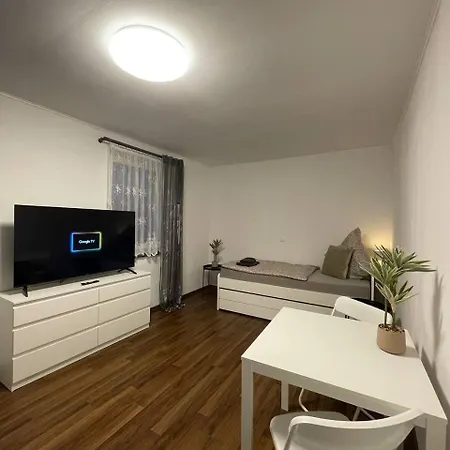 Gemuetliches Eg-apartment In Fuer 6 Appartement Weissenthurm