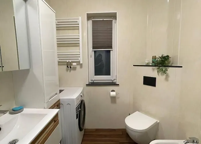 Gemuetliches Eg-apartment In Fuer 6 * Weissenthurm