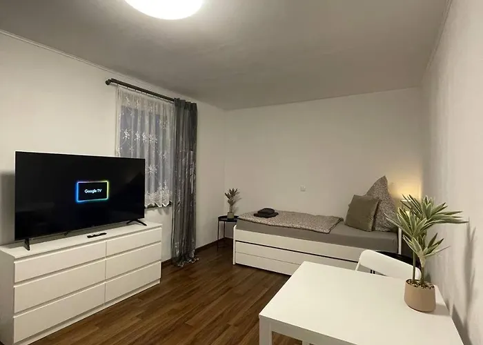 Gemuetliches Eg-apartment In Fuer 6 アパート Weissenthurm